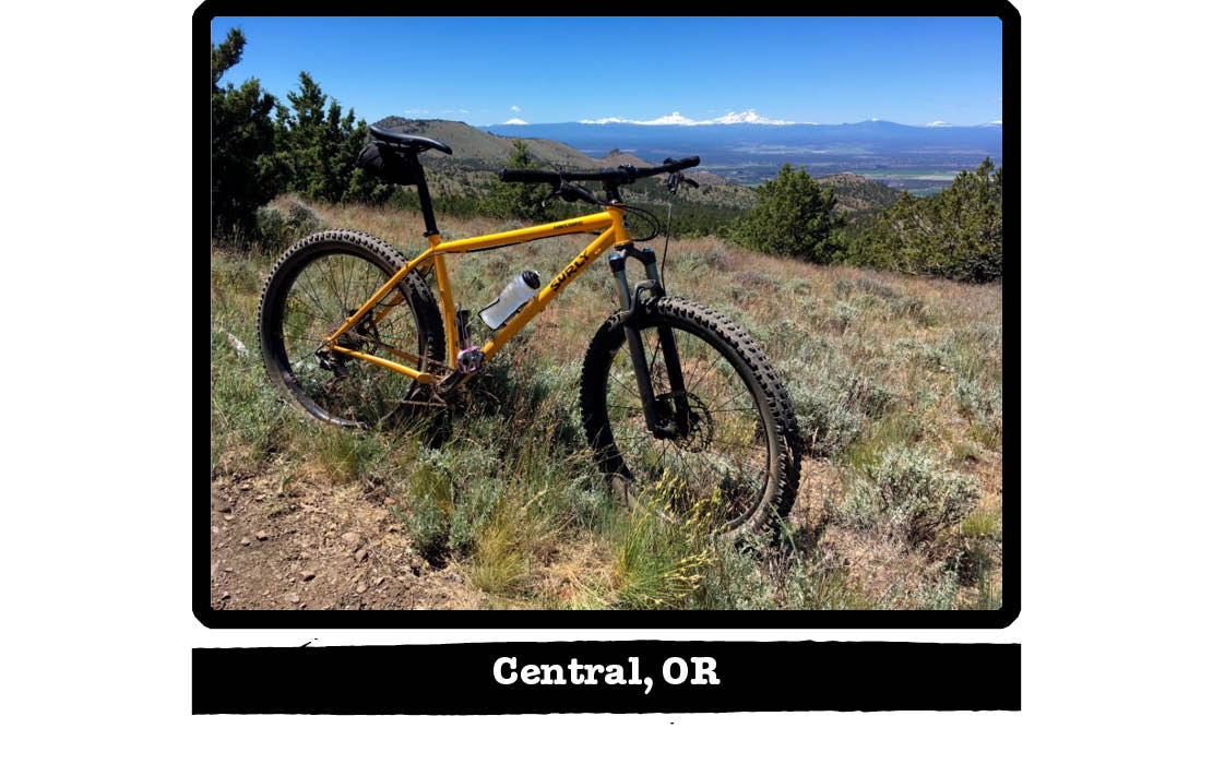 Right side view of a yellow Surly bike, on a brushy hill, with mountains in the background - Central, OR tag below image