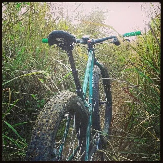Rear view of a green Surly fat bike, facing down a trail, with tall grass surrounding it