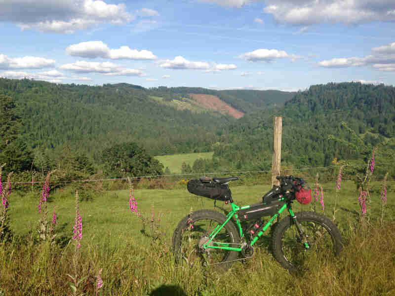 Right side view of a Surly bike, green, parked in deep grass, with a valley of trees in the background
