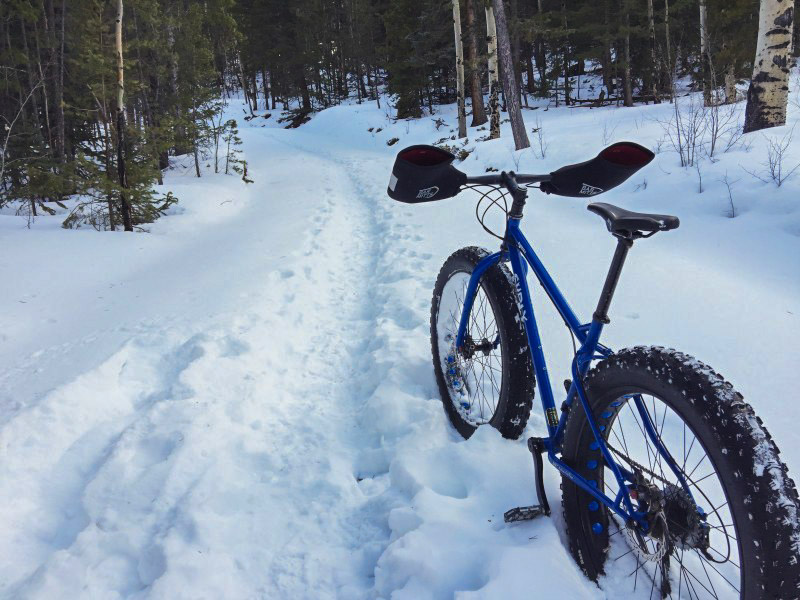 Rear view of a blue Surly fat bike, facing down a deep, snow covered trail, headed in to the forest