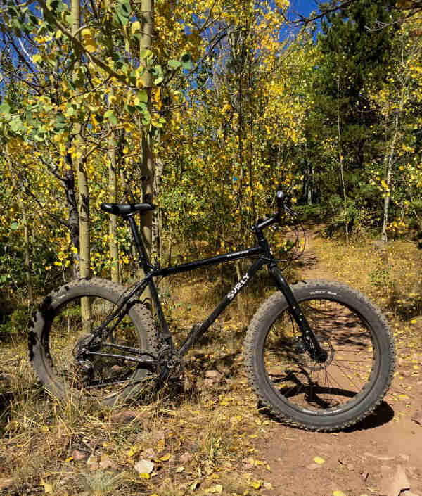 Right side view of a Surly fat bike, black, parked across a dirt trail in the woods
