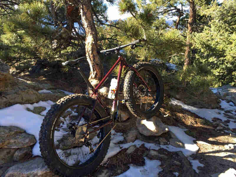 Rear right side view of a Surly fat bike standing upward on snowy rocks, while leaning on a tree