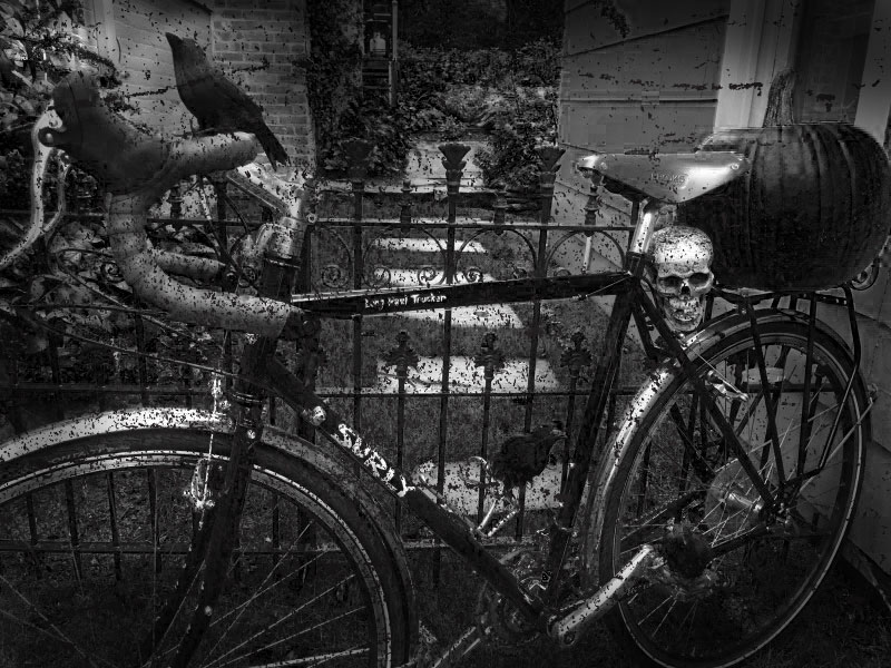 Left side view of a Surly Long Haul Trucker bike, with a crow, pumpkin and skull on it - black & white image