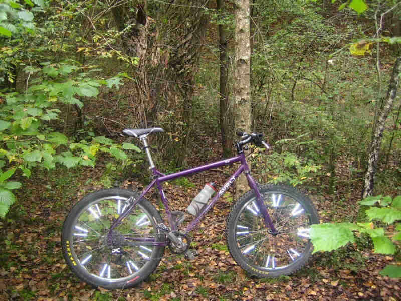 Right side view of purple Surly Troll bike with spoke lights, in a small clearing of leaves, in the green woods