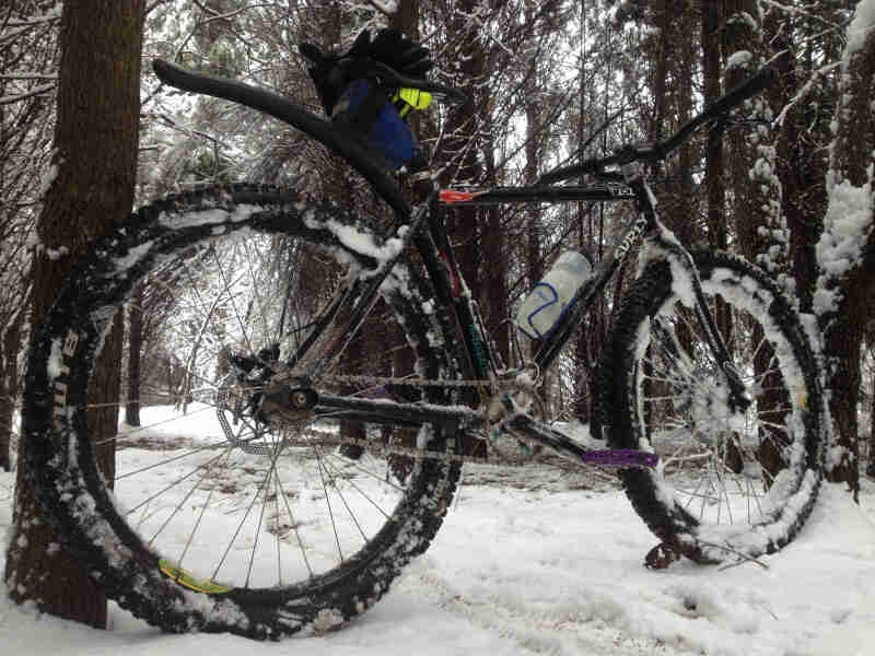 Right side view of a black Surly 1x1 bike, standing across a snow covered trail in a forest