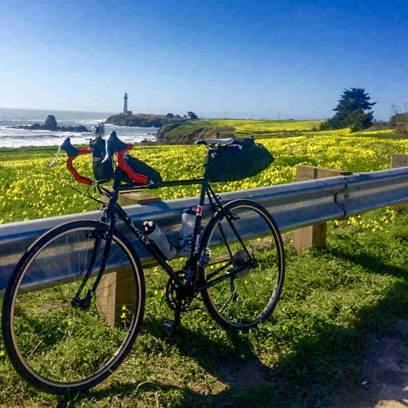 Left side view of a black Surly Cross Check bike, parked against a  guardrail, with a field of flowers and cliffs behind