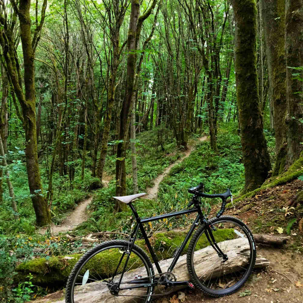 Right side view of a black bike, parked along a log on the ground, in the woods
