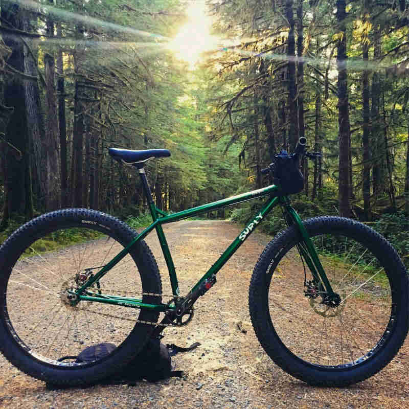 Right side view of an emerald green Surly bike, parked across a gravel road in the forest, with sun shining though
