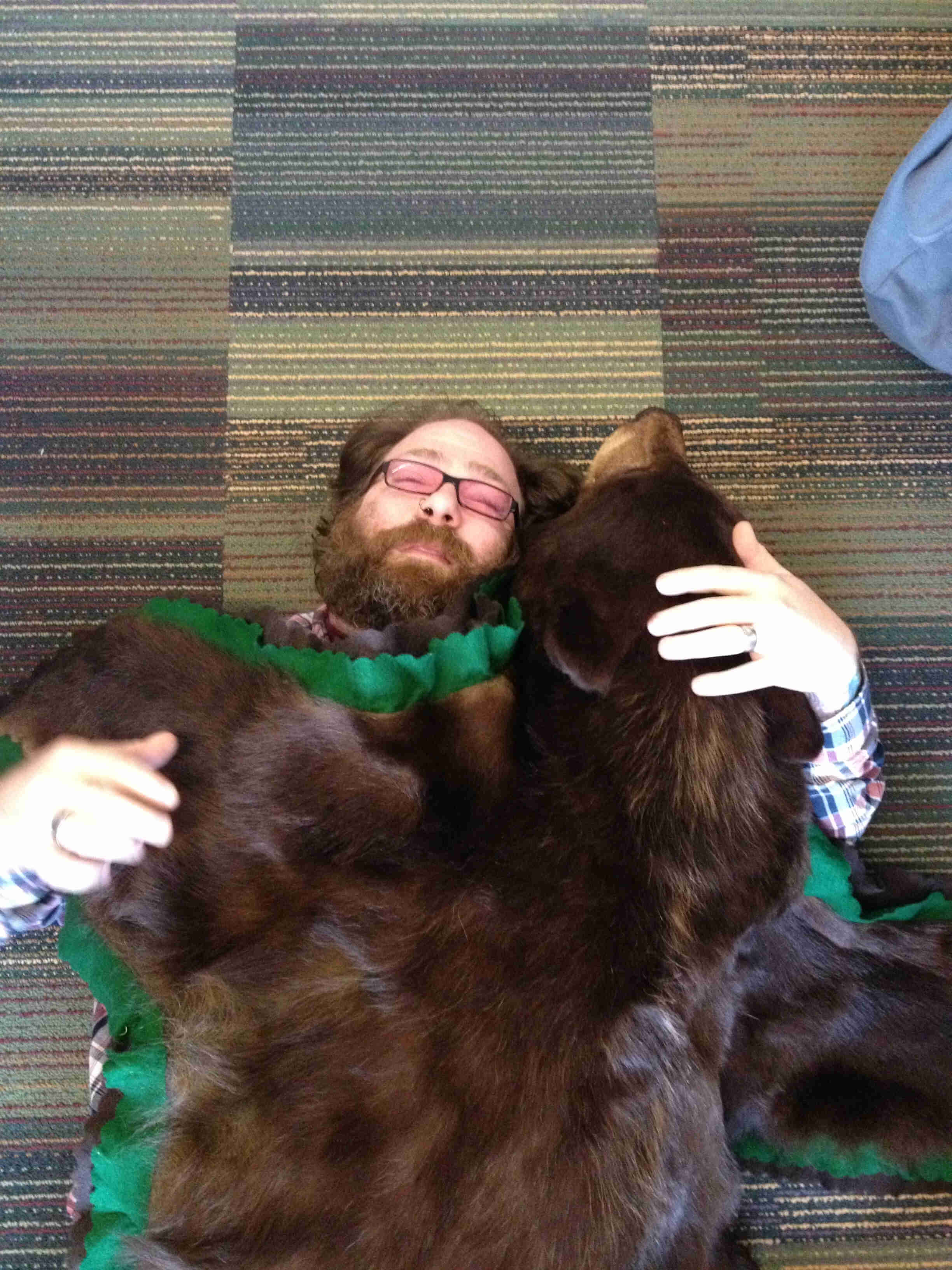 Downward, front view of a person with a beard, laying on a carpeted office floor with a bear skin rug covering them