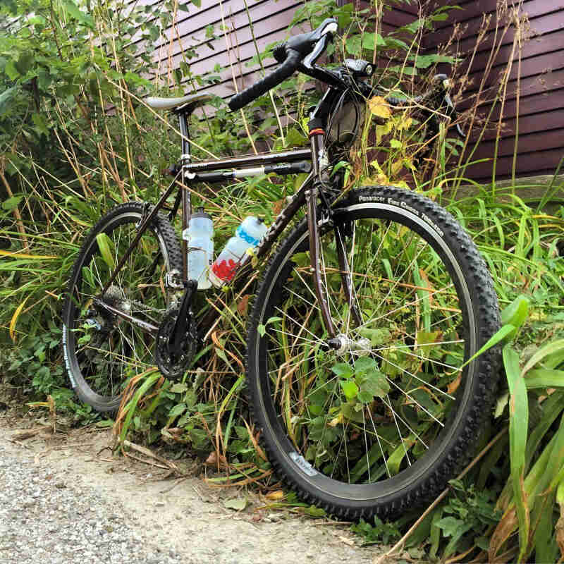 Front, right side view of a Surly bike, parked in tall weeds against a house