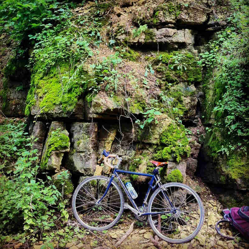 Left profile of a blue bike, parked on rocks at the base of a cliff wall that's covered in moss and ivy