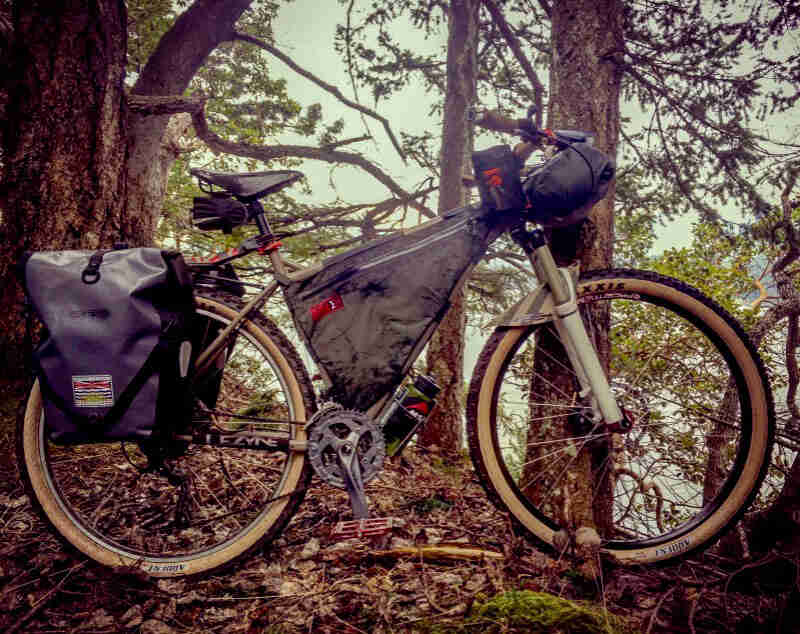 Right profile of a Surly bike, loaded with gear, standing in leaves, with trees in the background