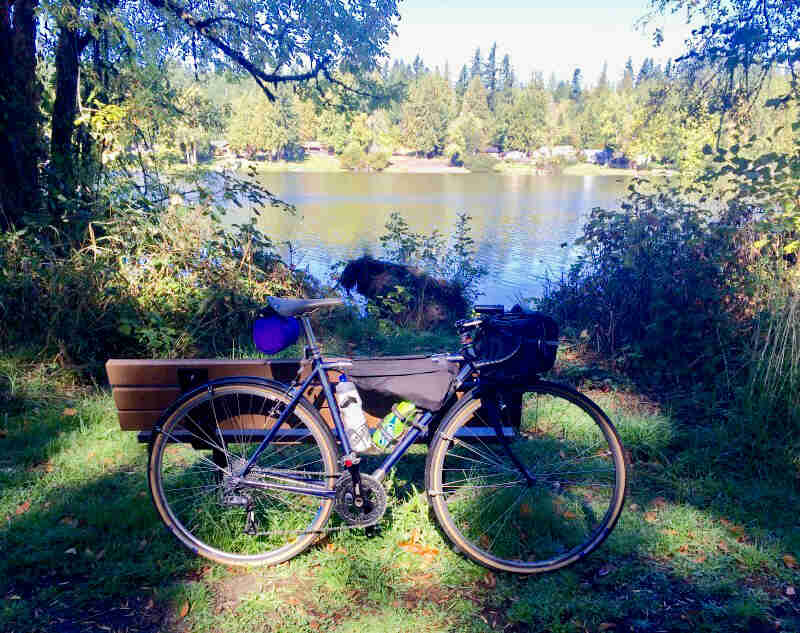 Right profile of a Surly bike, blue, parked in grass, leaning on a park bench, with a pond and trees in the background
