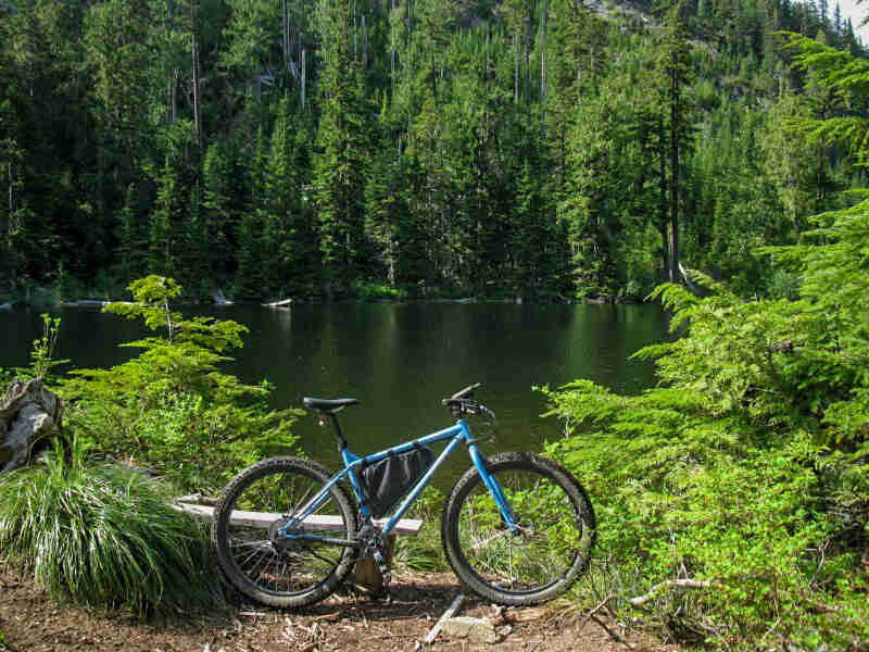 Right side view of a Surly bike, blue, parked on dirt, on the bank of a pond that's surrounded by tall pine trees