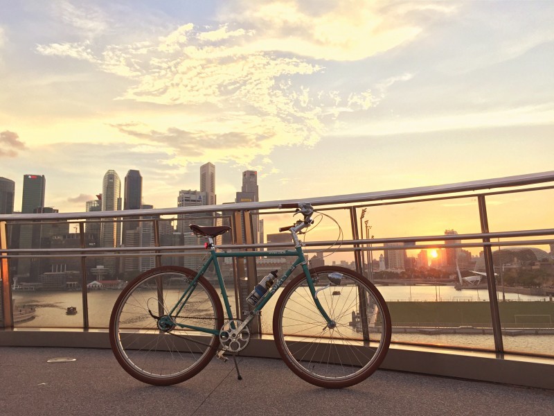 Right side view of a teal Surly bike, parked along a handrail on a platform over a bay, with a skyline in the background