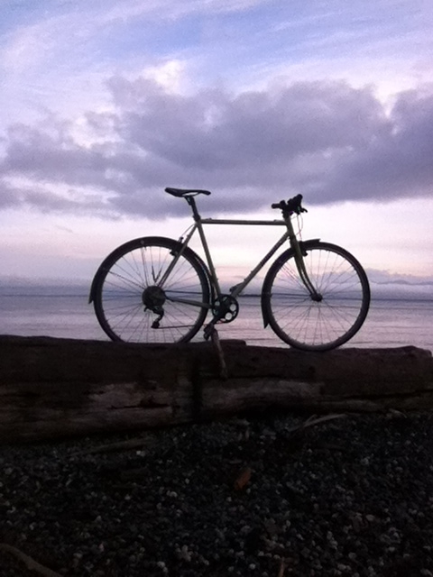 Dim, right side view of a Surly bike, parked on top off a log, on a rocky shore, with water in the background