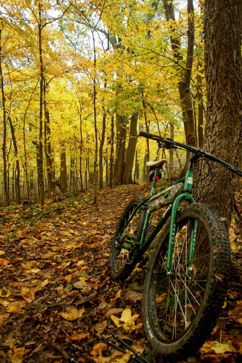 Front view of a green Surly bike on a tree covered trail in the woods