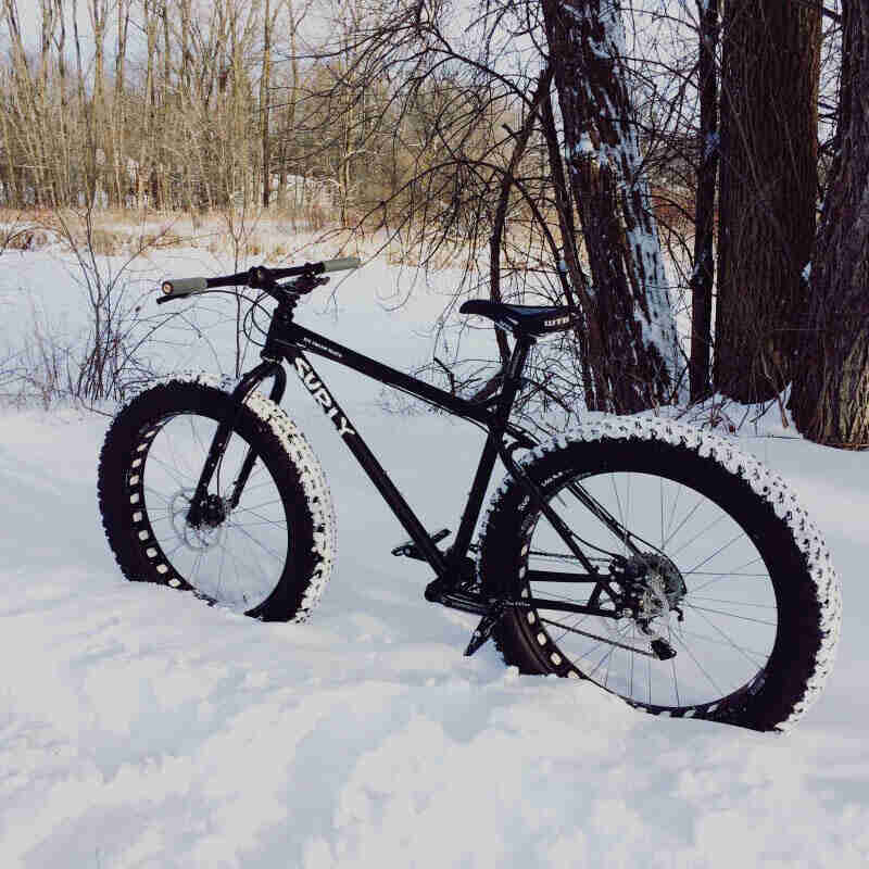 Left side view of a black Surly fat bike, standing in deep snow, next to a group of trees