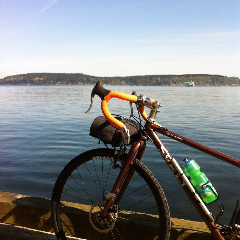 Left side view of the front end of a brown Surly Karate Monkey bike, on a dock, above a lake with trees in background