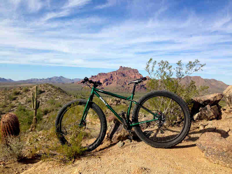 Left profile of a green Surly bike, parked on dirt in a brushy desert, with mountains in the background