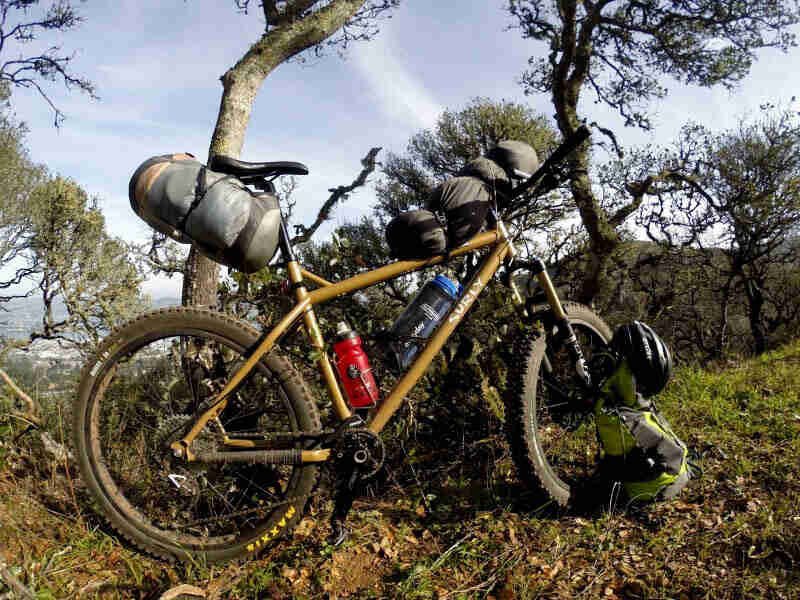 Right side view a Surly Instigator bike, loaded with gear, parked on grass in front of trees