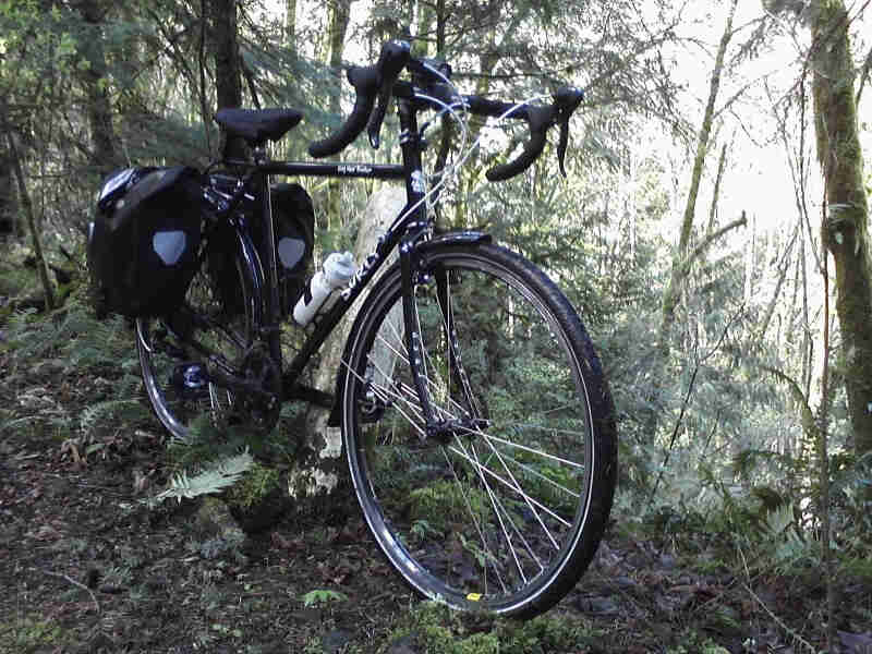 Right side view of a black Surly Long Haul Trucker bike with rear packs, parked on the edge on a cliff in a the forest