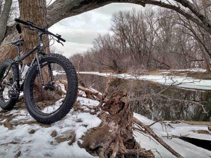Front, right side view of a black Surly fat bike, parked on top of a snowy riverbank against a tree