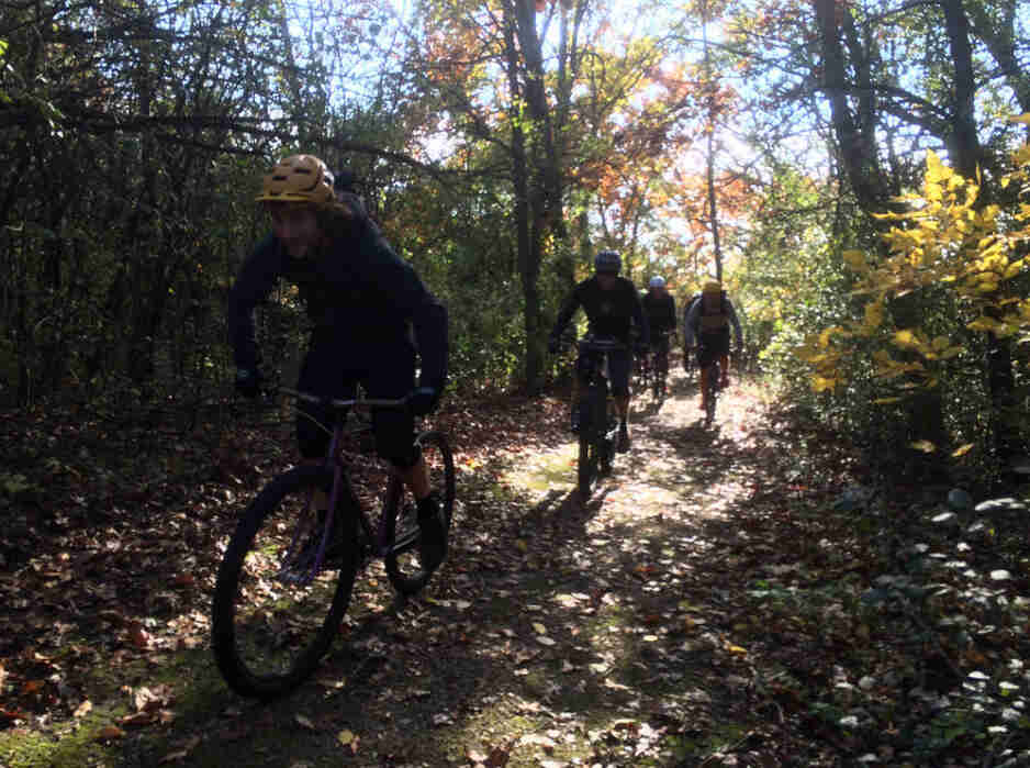 Front view of cyclists riding on a grassy trail in the woods