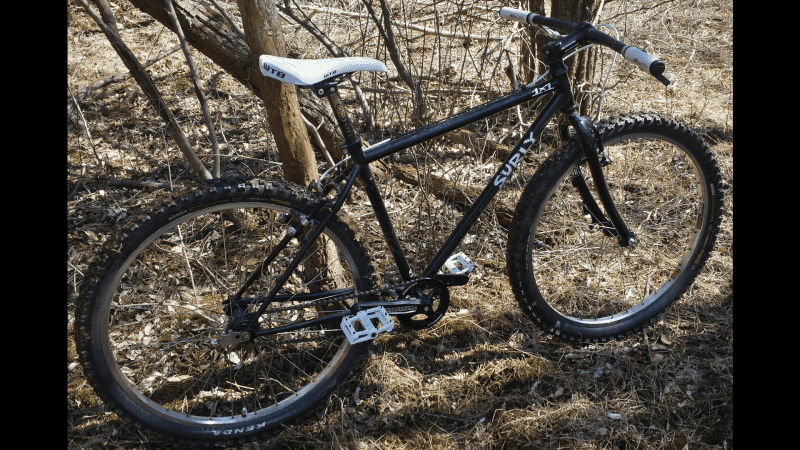 Right side view of a black Surly 1x1 bike, parked in brown grass, against a small tree