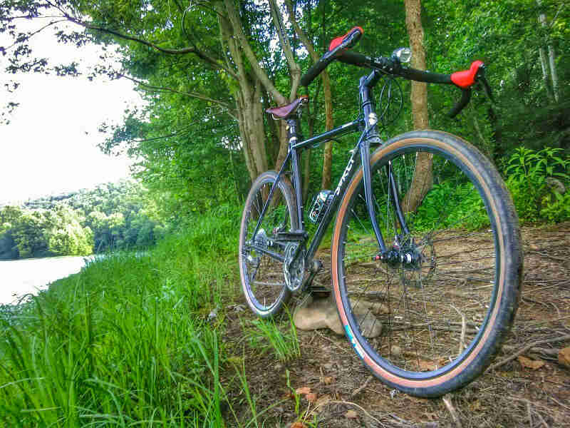 Front right side view of black Surly bike, parked along a grassy bank of a pond, with trees in the background
