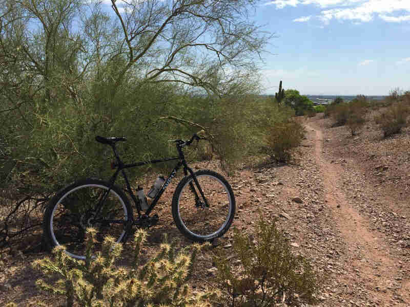 Right side view of a black Surly bike, parked next to cacti and bushes, on the side of a desert gravel road