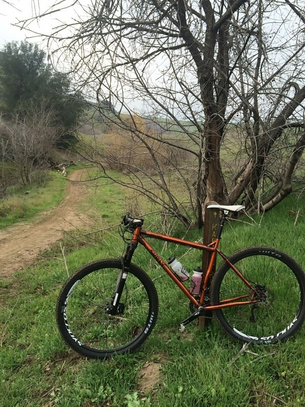 Left side view of an copper color Surly Karate Monkey bike, on a grass hill above a dirt trail, in front of a bare tree