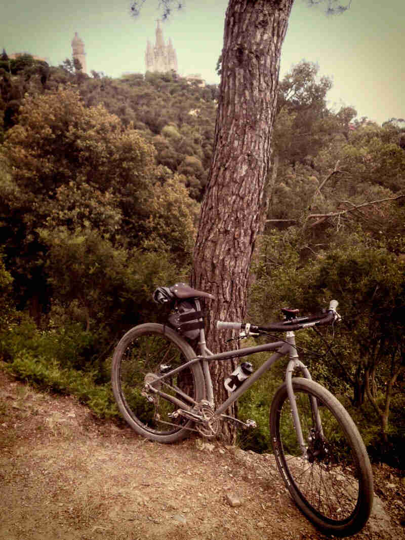 Downward, right side view of a Surly Karate Monkey bike, leaning against a tree, with a forest hill in the background