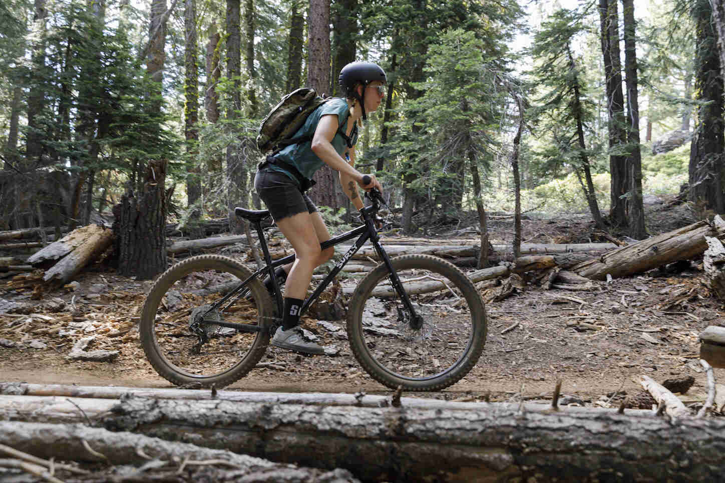 Right profile of a cyclist on a Surly Karate Monkey bike, black, riding on a dirt forest trail, with downed trees scattered around