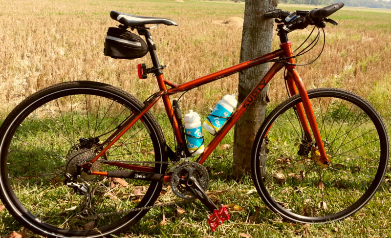 Right side view of an orange Surly Karate Monkey, leaning of a tree with a grass field in the background