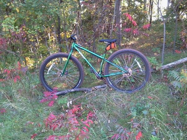 Left side view of a green Surly Krampus bike, parked across a grassy hills in the woods