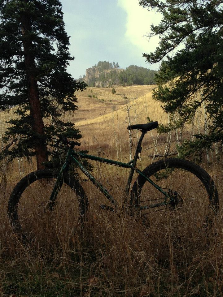Left side view of a green Surly Krampus bike, in a hilly field of tall grass, between 2 trees, with a mountain behind