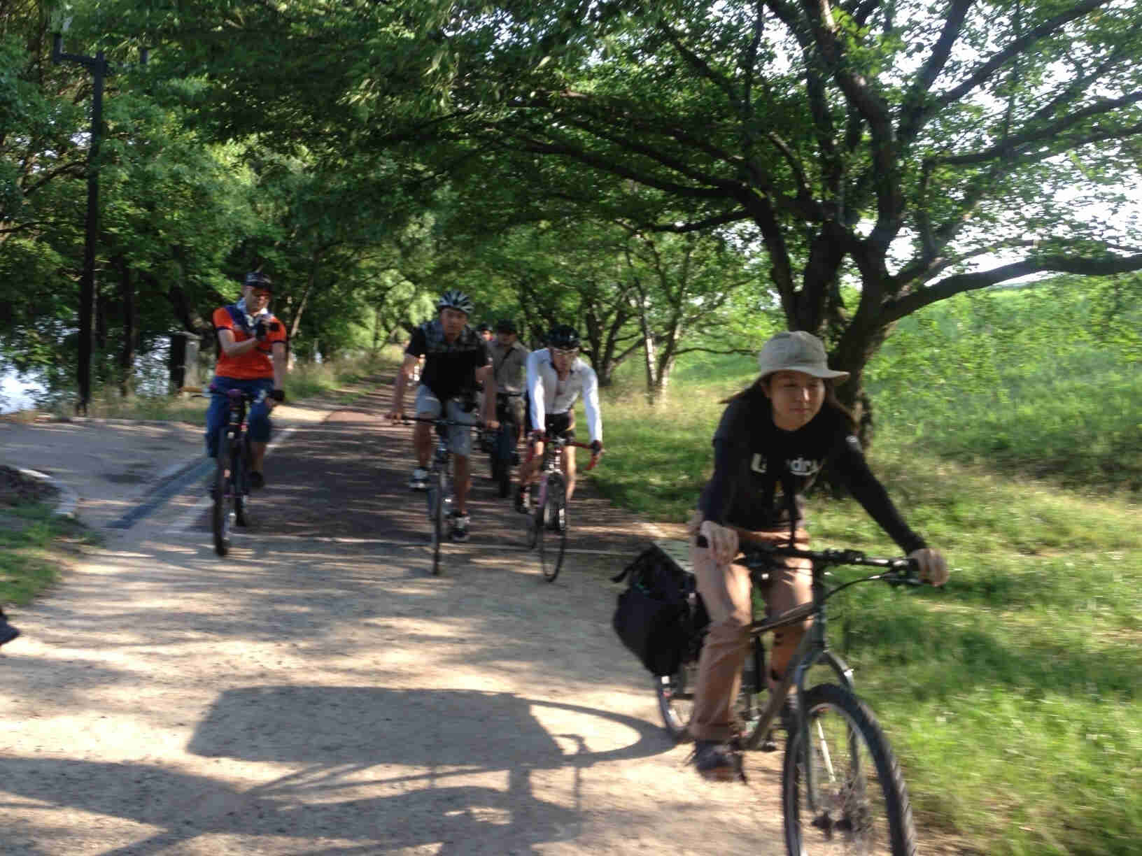 Front view of a group of cyclists, riding on a gravel bike trail, with trees lined up on both sides