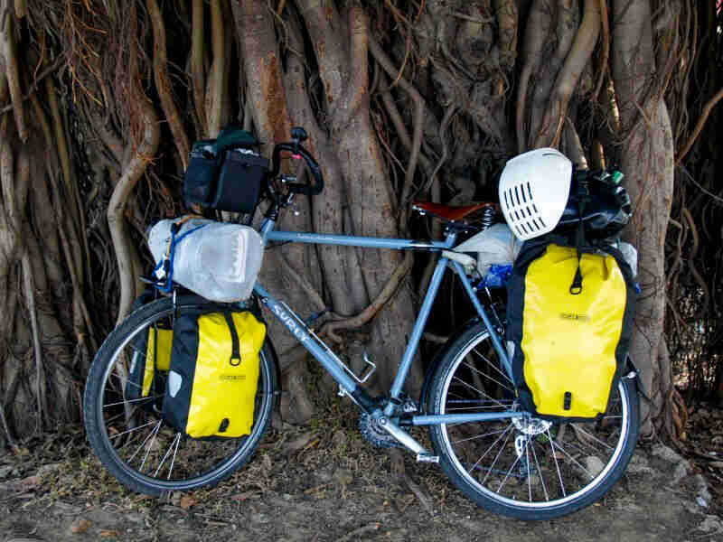 Right side view of a Surly Long Haul Trucker bike, blue, loaded with gear, parked against intertwined trees