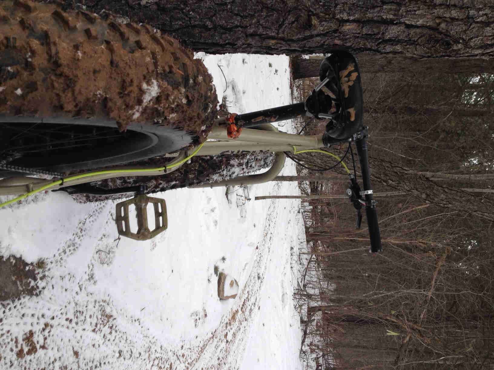 Rear view of a tan Surly Moonlander fat bike, leaning against a tree, facing down a snowy trail in the woods