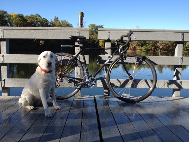 Right side view of a black Surly Cross Check bike, with a dog in front of the rear wheel, on a dock over pond