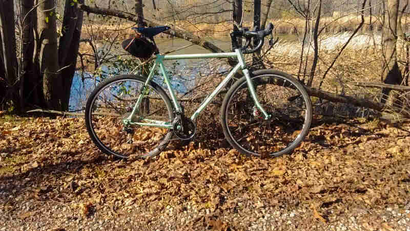 Right profile view of a Surly Straggler bike, mint, parked in leaves, with leafless trees and a pond in the background