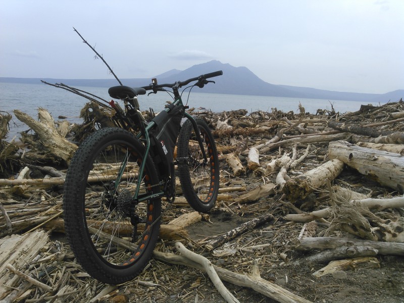 Rear, right side view of a green Surly Krampus bike, on a lakeshore with branches, facing a lake with a mountain behind