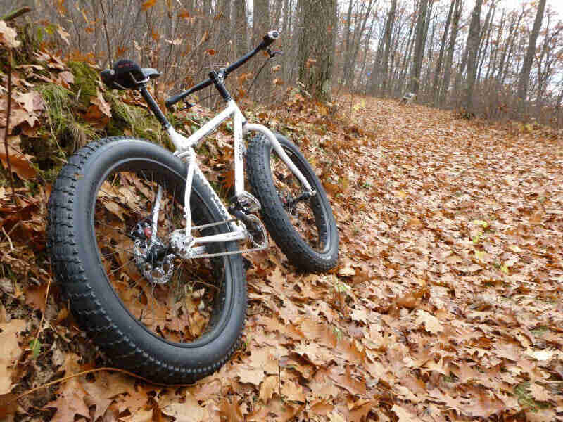 Rear, right side view of a white Surly fat bike, parked on the side of a leaf covered trail in the woods