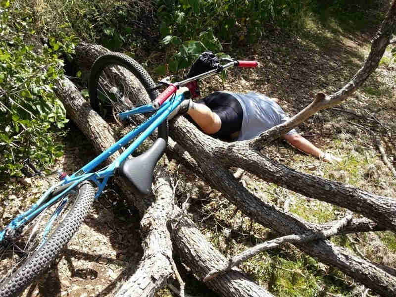 Downward rear view of a Surly Karate Monkey bike. draped over a branch, with a cyclist laying face down in front of it