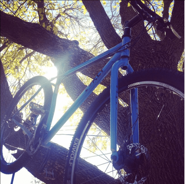 Upward, right side view of a blue Surly Karate Monkey bike, hanging in a tree by it's seat