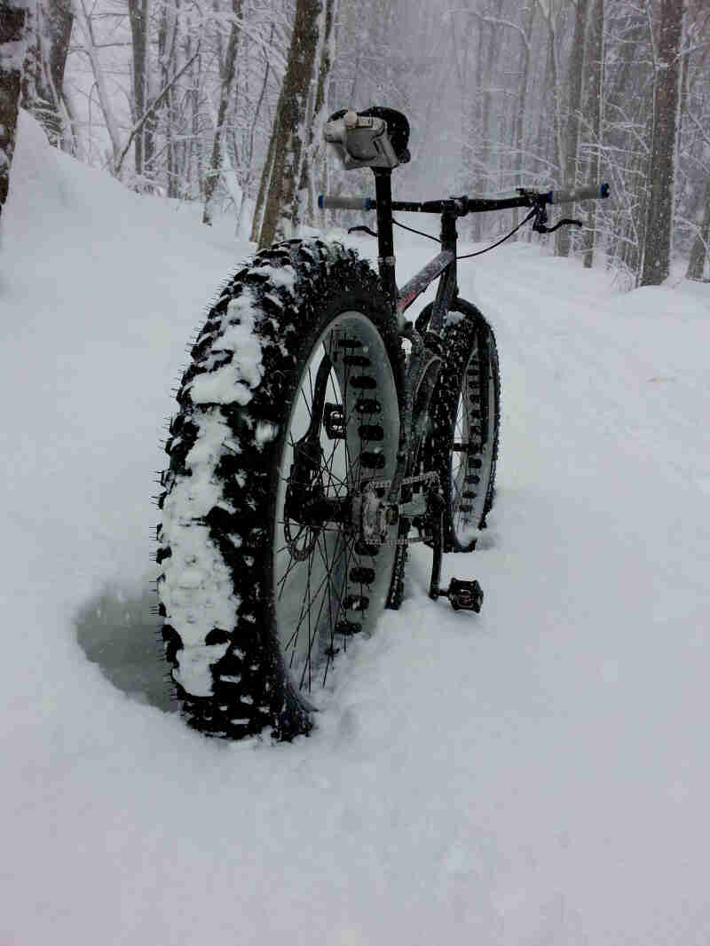 Rear view of a Surly fat bike on a trail with deep snow, with trees on both sides
