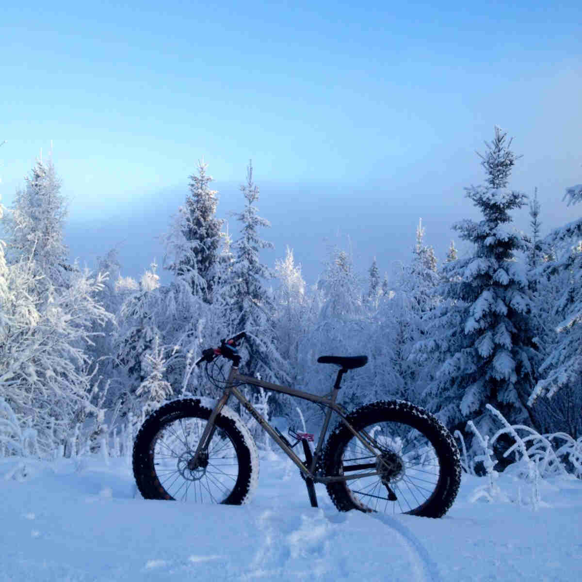 Left side view of a Surly Moonlander fat bike, parked in deep snow, with snowy trees in the background