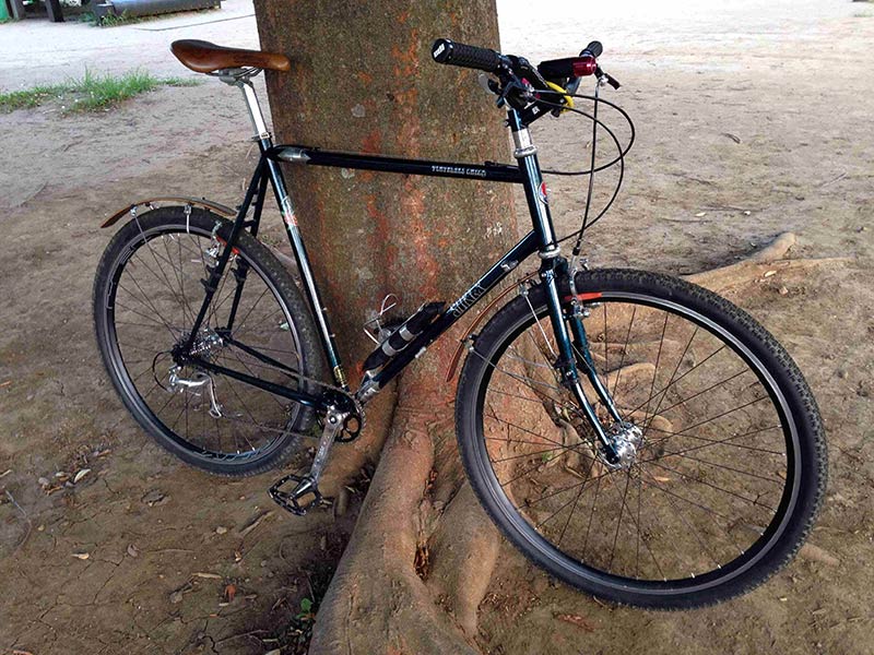 Right side view of a black Surly bike, leaning against the base of a tree, over a large root