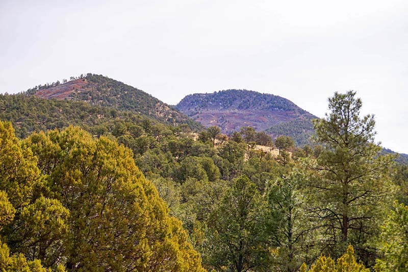 A green forest with two mountain buttes behind